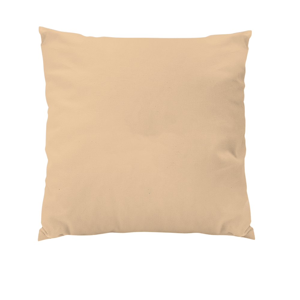 Custom Pillow with monogram